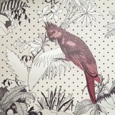 Wallpaper red | Parrots 006 B01