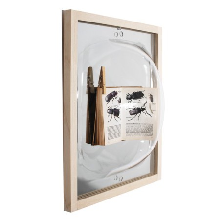 Showcase mirror small Showcase mirror small