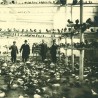Pigeon Service t.e. 163 a