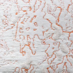 Cushion Coral S