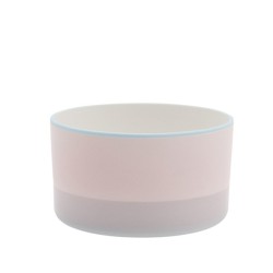s.b. 39 tea cup light blue pink purple