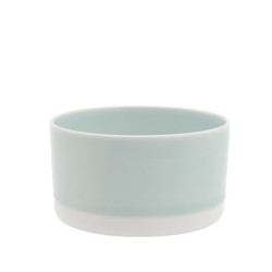s.b. 41 tea cup light blue white