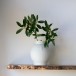 Big White pot