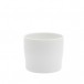 s.b. 38 espresso cup white glazed